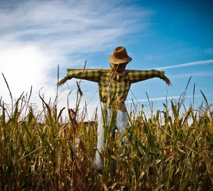 the scarecrow